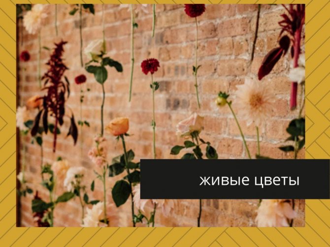 10 секретов как сделать фотозону дома своими руками
