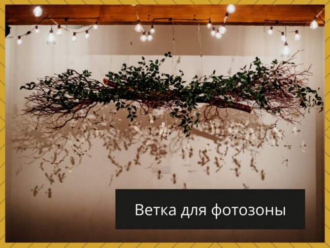 10 секретов как сделать фотозону дома своими руками
