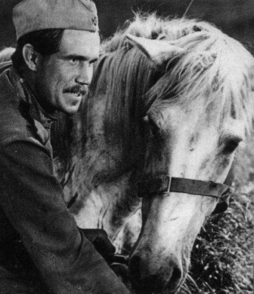 сергей гармаш фильмография
