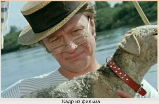 Советская знаменитость